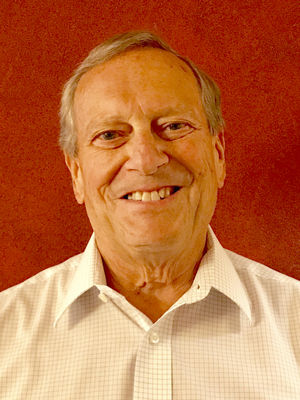 Berrien county local proposals and races
